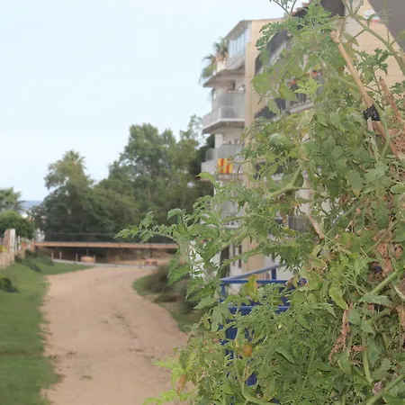 アパート Claudi トッサ・デ・マール