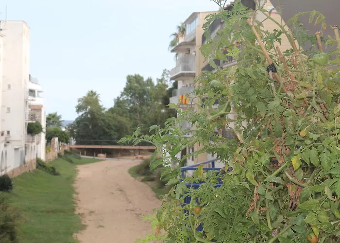 Apartmán Claudi Tossa de Mar